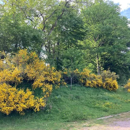 Les Sources De Felicia Apartment Plombieres-les-Bains